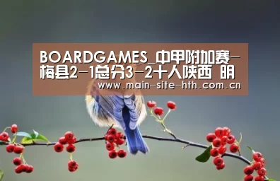 BOARDGAMES_中甲附加赛-梅县2-1总分3-2十人陕西 明年再战中甲(图1)
